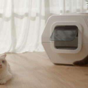 LuluPet：猫の健康状態を確認できる猫用スマートトイレ