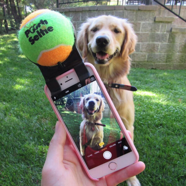 Pooch Selfieで犬の写真を撮る